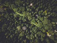 ivan-bandura-W17FU_GuyVQ-unsplash
